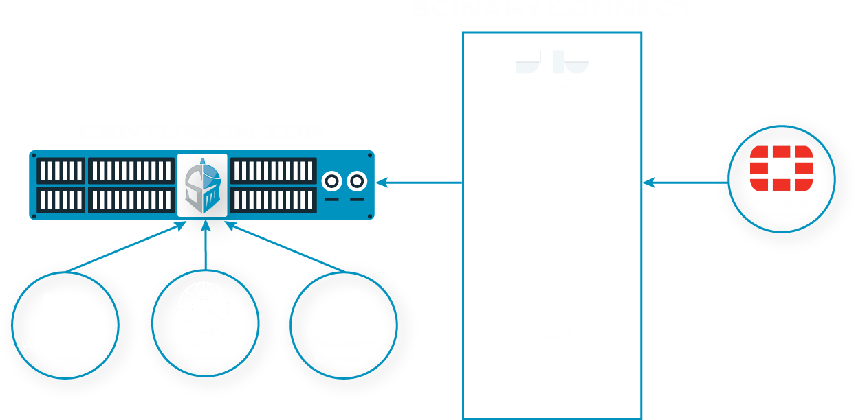 Scianry Centurion Graphic